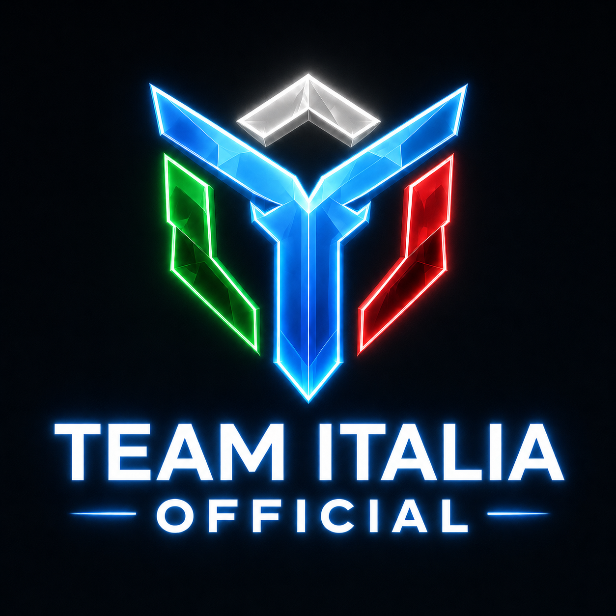 Logo Team Italia Official